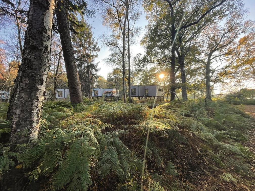 Tierpark Entdeckerhaeuser Wagenfeld Екстер'єр фото
