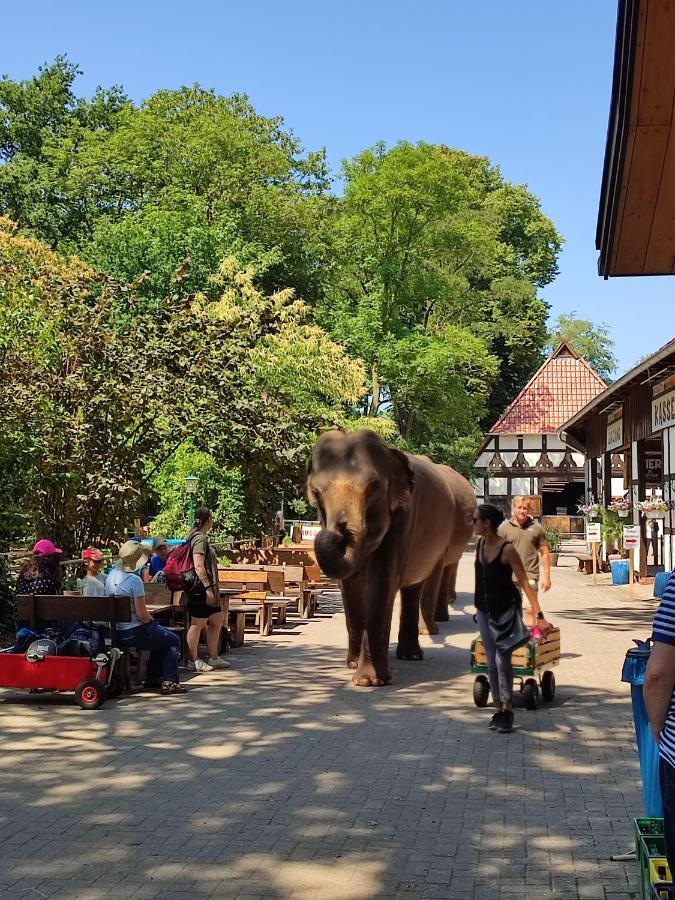 Tierpark Entdeckerhaeuser Wagenfeld Екстер'єр фото