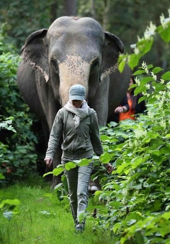 Tierpark Entdeckerhaeuser Wagenfeld Екстер'єр фото