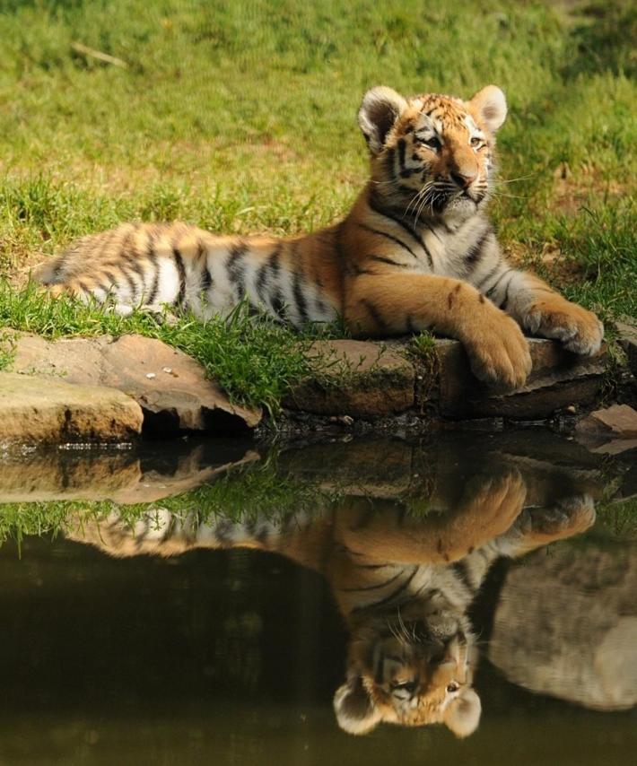 Tierpark Entdeckerhaeuser Wagenfeld Екстер'єр фото